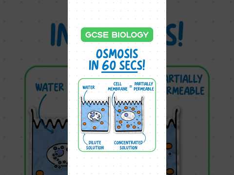 GCSE Biology - Osmosis in 60 seconds