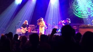 Government Mule Sometimes Salvation