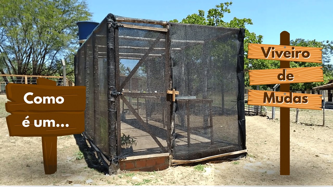 Mostrando um Viveiro de Mudas Excelente