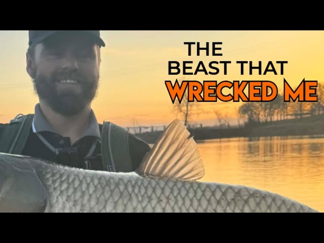 Judge.me YouTube video placeholder