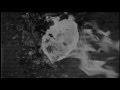 Beyond Perception "Leaf Of Vertigo" (HD Official Music Video)