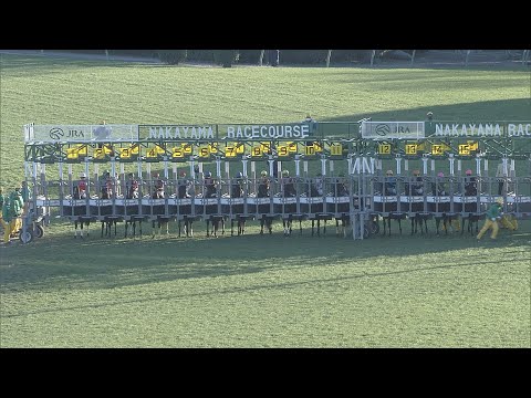 2021 HOPEFUL STAKES (G1) | JRA Official