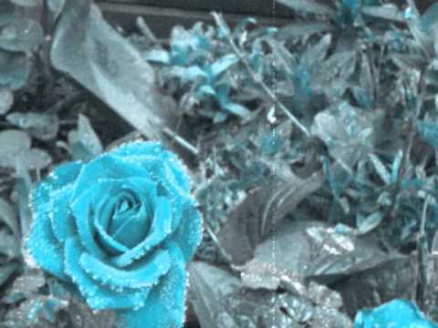 Chin Ho! - Kill Myself