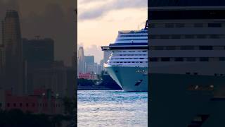 MSC Divina 🛳️ #travel #like #subscribe #comment #cruise #vacation #shortvideo #shortsvideo #shorts