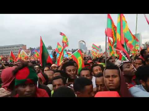 caluu jirta jiraa oromo koo
