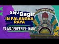 SAJU BAGIR YA MADAHEEN EL NABY Cover Other Version