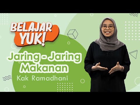 Perbedaan Jaring-Jaring Makanan dan Rantai Makanan | Belajar Yuk! Jaring-Jaring Makanan