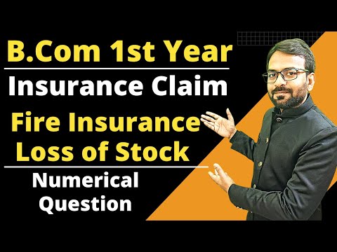 B Com 1st year Accounts Chapter 1 in Hindi Financial Accounts B Com 1st year Lecture 1