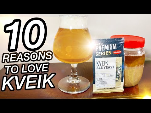Why YOU Should Use Kveik Yeast in 2025