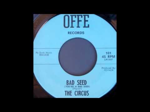 The Circus - Bad Seed (You're A Bad Seed)