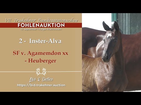 2 - Inster-Alva - SF v. Agamemdon xx - Heuberger *23.06.2025