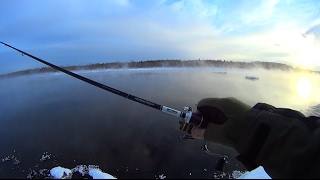 Катушка spro addiction micro cast 1000