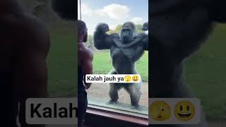 Download lagu langsung ditunjukan badan kekarnya🙉🙊🥱😁😄 #masukberanda #jalanyangjauhjanganlupapulang mp3 Download lagu langsung ditunjukan badan kekarnya🙉🙊🥱😁😄 #masukberanda #jalanyangjauhjanganlupapulang mp3