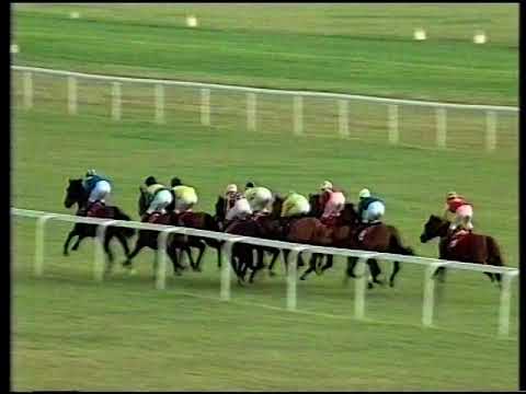 1991 Tattersalls Cheveley Park Stakes