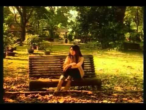 Tình khúc dở dang - Cao Thái Sơn