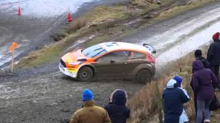 Mid wales stages 2016 sweet lamb
