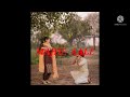MAJHE AALE Punjabi Love Status New Punjabi Status Love Punjabi Status Status Viral Youtube