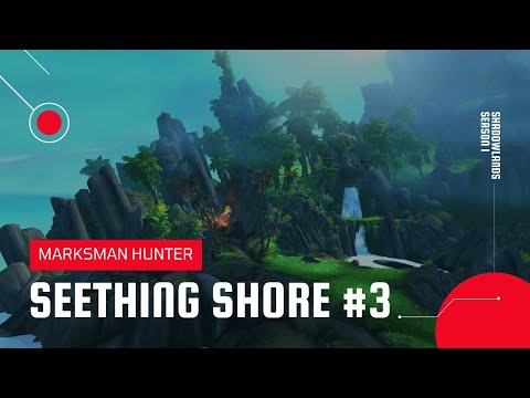 World of Warcraft: Shadowlands | Seething Shore Battleground | MM Hunter #3
