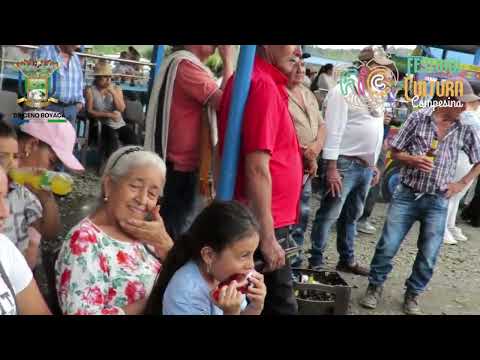 Briceño Territorio FIC