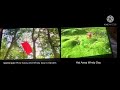In The Night Garden Vs Teletubbies