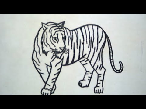 download lagu mp3 mp4 Tutorial Gambar Harimau, download lagu Tutorial Gambar Harimau gratis, unduh video klip Tutorial Gambar Harimau