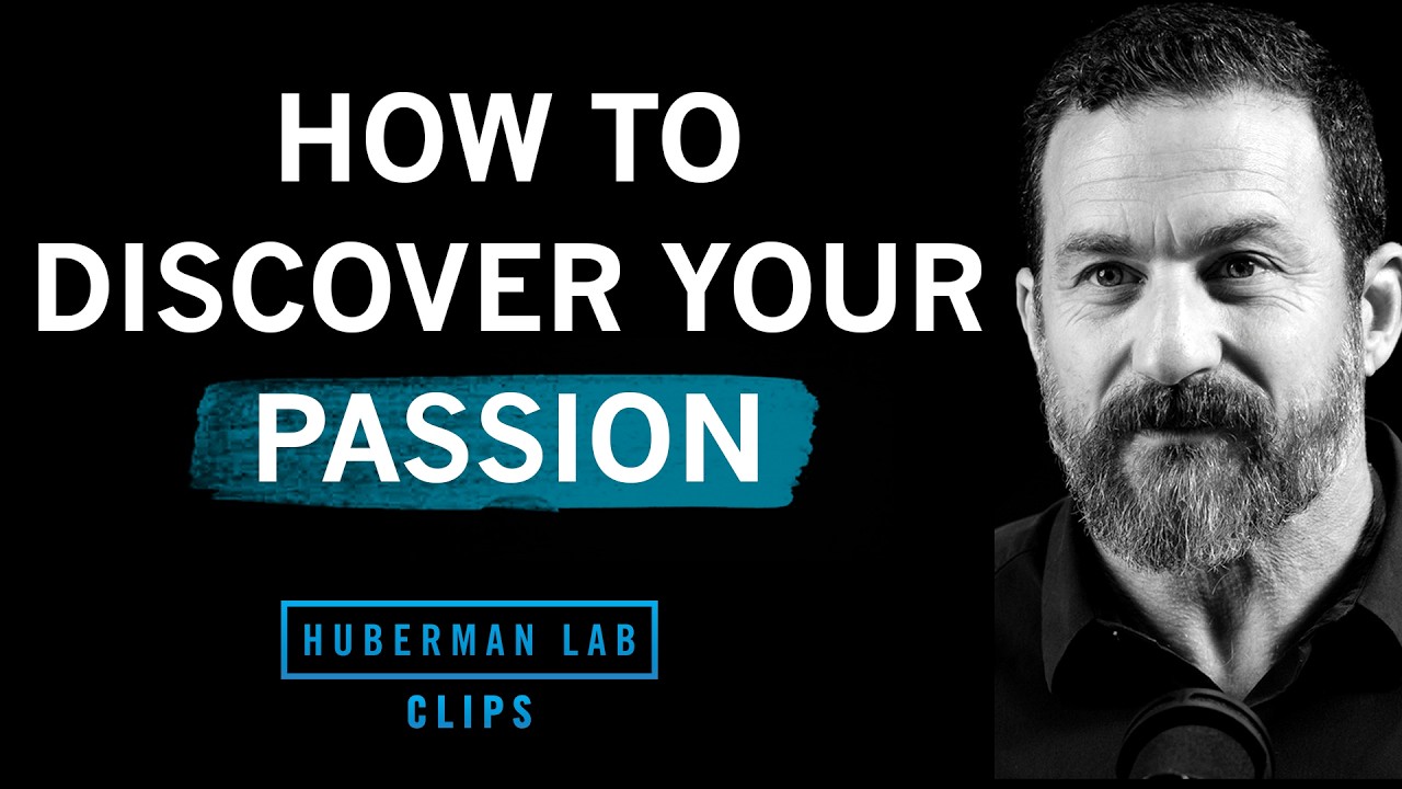 How to Discover Your Passion | Dr. Andrew Huberman