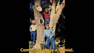 Download lagu Creedence Clearwater Revival Bootleg Subtitulada mp3