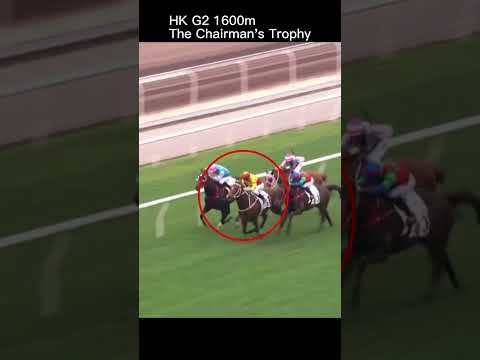 California Spangle wins the Chairman's Trophy