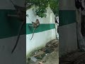Namma Yaaru Vambukkum Poradhillai 3 0