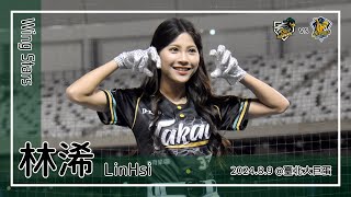 【台湾チア】林浠 LinHsi | Wing Stars | 中場舞蹈 + 王柏融,魔鷹 應援曲 [中文歌詞]
