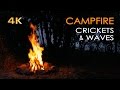 4K Campfire By The Sea Crickets Ocean Waves Night Forest Nature Sounds Relaxing Fireplace