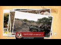 Jambisa Game Lodge South Africa