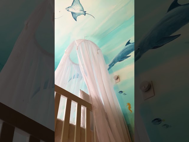 Petra Mattar revela detalhes do quarto de Makai 🌊 #graodegente #quartodebebe #petramattar #shorts