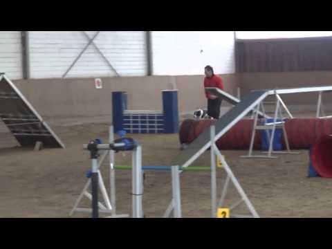 Peter mit Bolton, DKBS Agility Ruhrpottschnauzen Herne, 24.02.2013