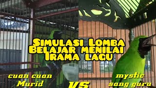 Download lagu Cucak Ijo Tarung Full Bongkar Isian Kapas Tembak, Nembak Rapat Full Emosi. mp3