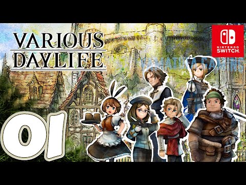 VARIOUS DAYLIFE [Switch] | Gameplay Walkthrough Part 1 Prologue | No Commentary