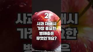 사과 농사 매출 30% 증가! 비결은 확실한 응애 방제