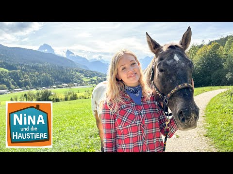 Appaloosa | Information für Kinder | Nina und die Haustiere