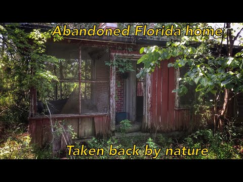 Abandoned | Florida home taken back by nature | North Florida
