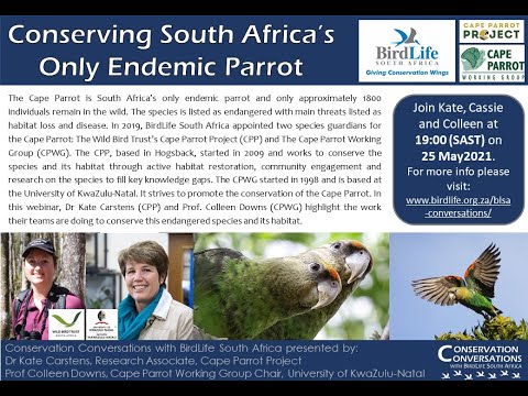 Conservation Conversations: Dr Kate Carstens & Prof Colleen Downs-Cape Parrot Conservation (25May21)