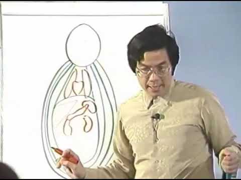 Mantak Chia - Iron Shirt Chi Kung I