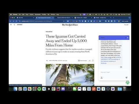 Item video thumbnail