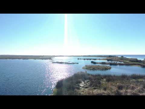 Fountainebleau 01 11 19