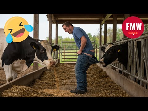 Funny & Hilarious People Life 😆 #387 | TRY NOT TO LAUGH 😂 | Instant Regret Fails Compilation 2025