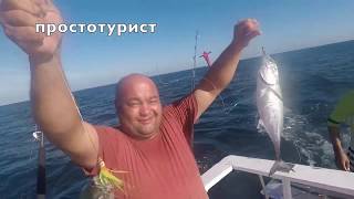Ссылка