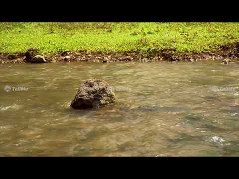 U Turn Amarkantak: A Scenic Viewpoint with Breathtaking Landscapes