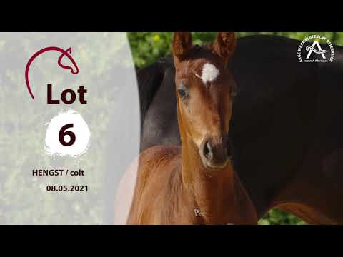 Catalogue #6 - Fattore M - 1st AUSTRIAN ONLINE FOAL AUCTION