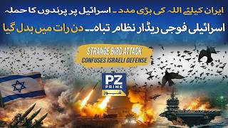 Millions of Birds over Israel Confuse Military Radars – A Strange Sky Event Explained