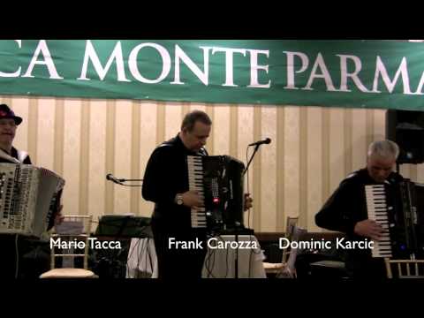 D. Karcic - Coquette Polka (Valtarese Gala 2015)