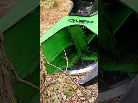 Attachment Hire , OMEF Tree shears. - Image 2